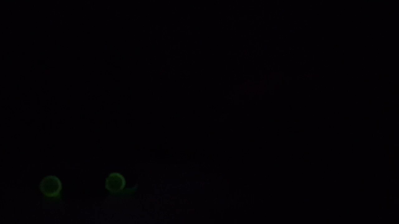 dani klieber glow racers