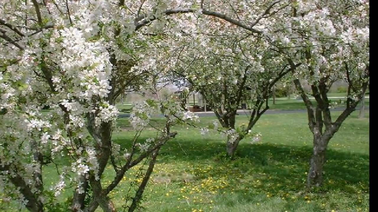 (HD 720p) You'll Never Walk Alone, Michael Ball/Mormon Tabernacle