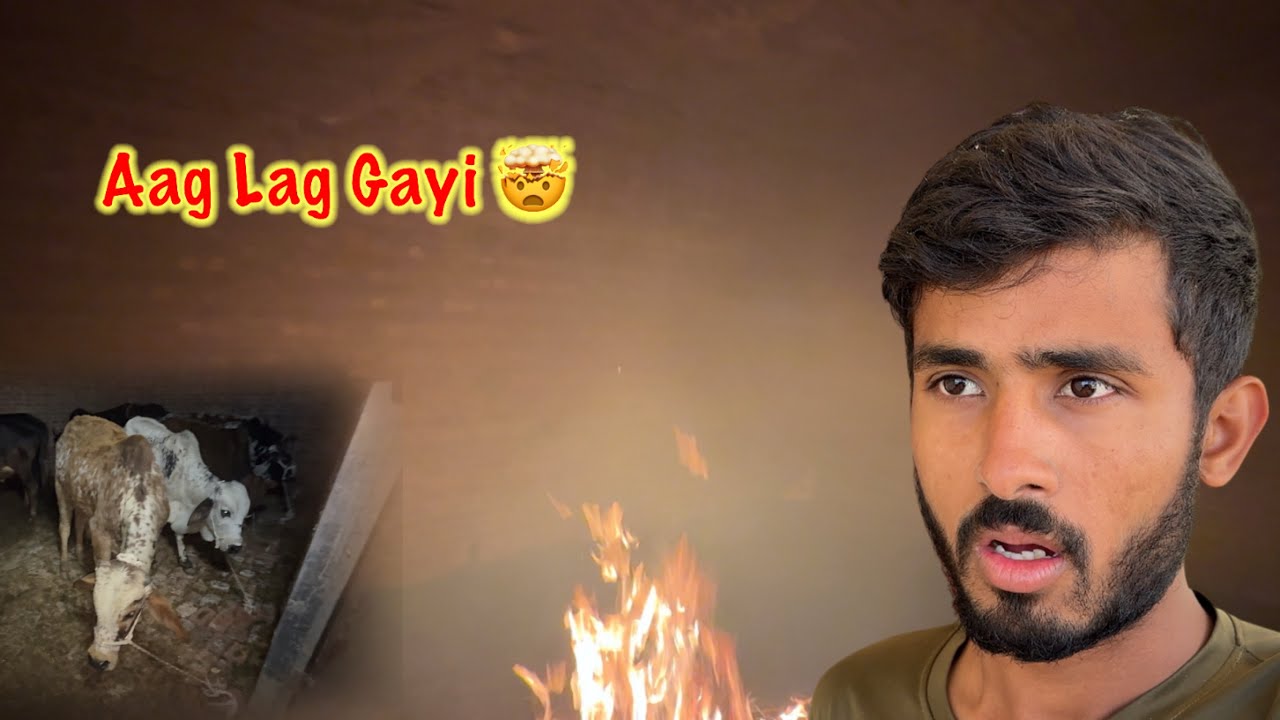 Janwaro Ke Room Main Aag 🔥 Lag Gayi 🤯