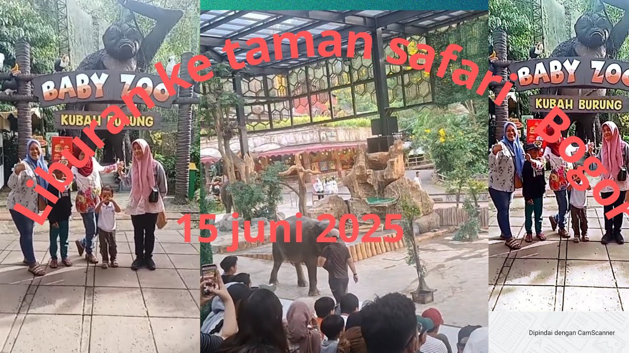Liburan taman safari bogor 15 juni 2025