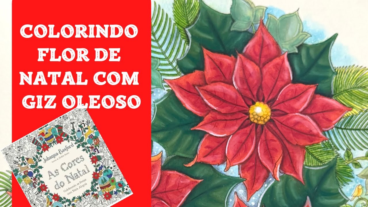 ✨ Colorindo Flor de Natal | Giz Pastel Oleoso | Johanna Basford ✨