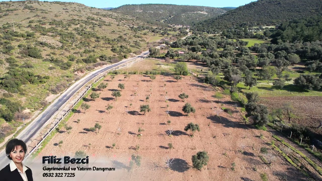 URLA ZEYTİNELİ'NDE FIRSAT ARSA