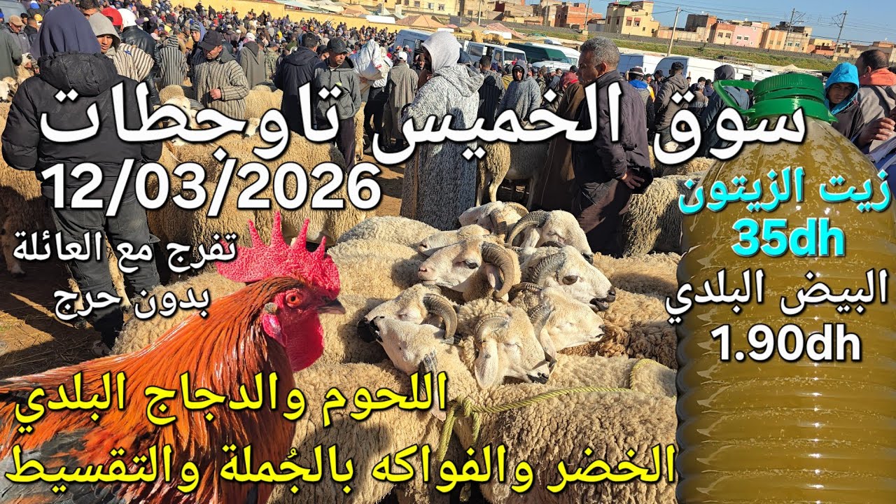 أثمنة الغنم والبقر والدجاج واللحوم والخضر سوق الخميس عين تاوجطات اليوم 12/03/2026