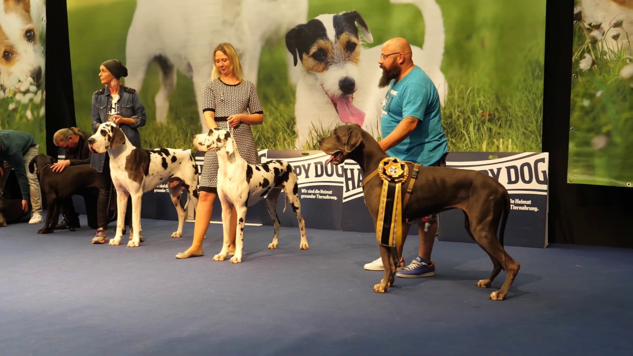 Hund & Pferd Dortmund 2019