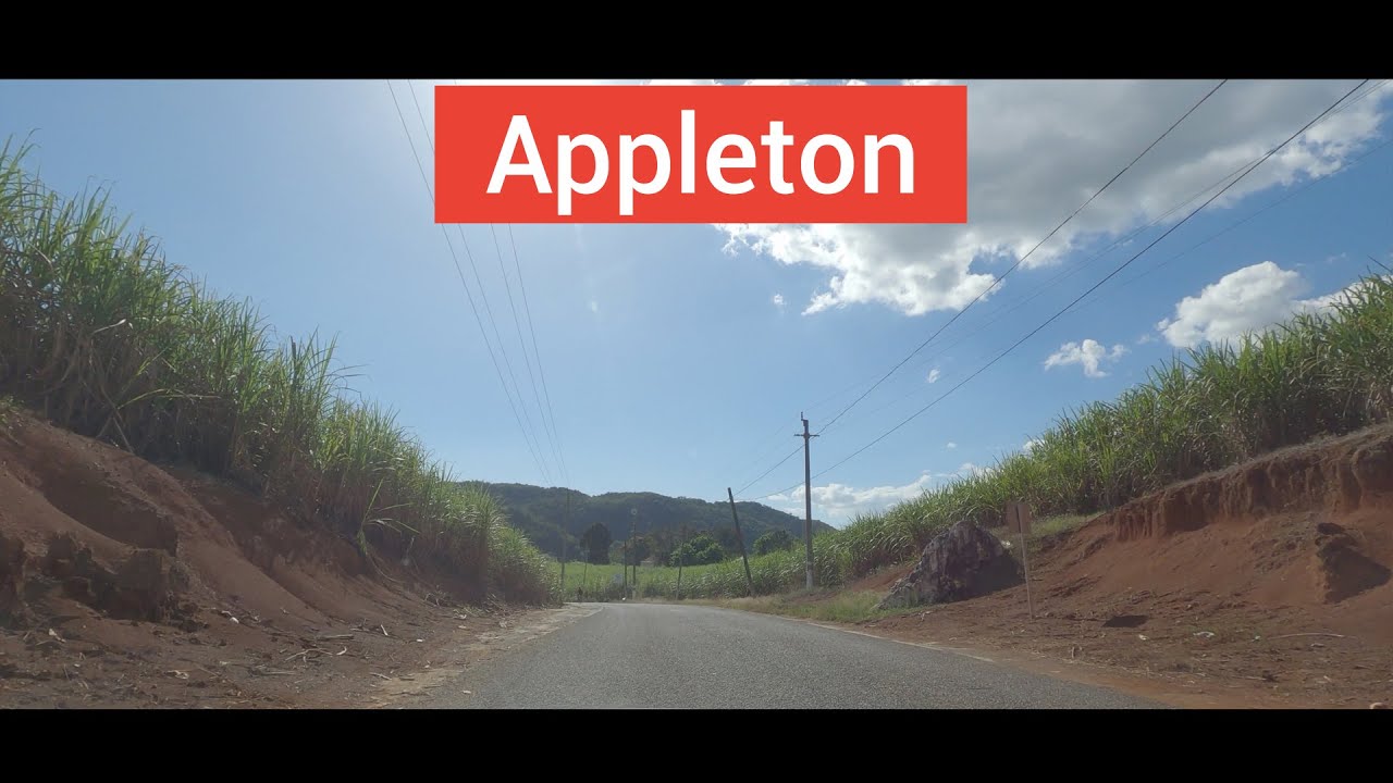 Appleton, St Elizabeth, Jamaica