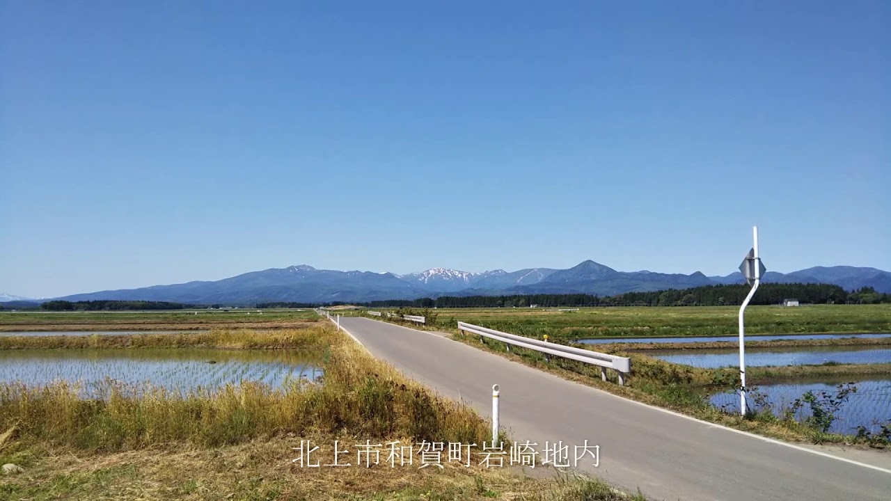初夏の風景