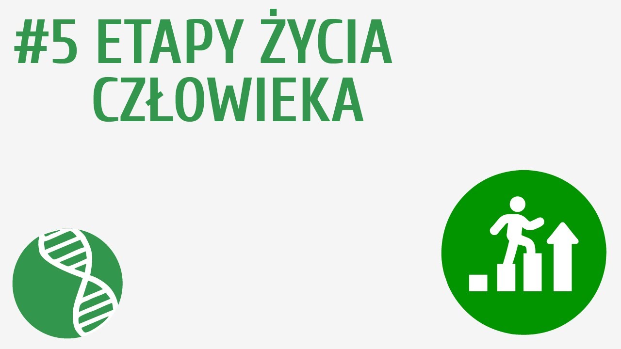 Etapy życia człowieka #5 [ Rozmnażanie i rozw&oacute;j ]