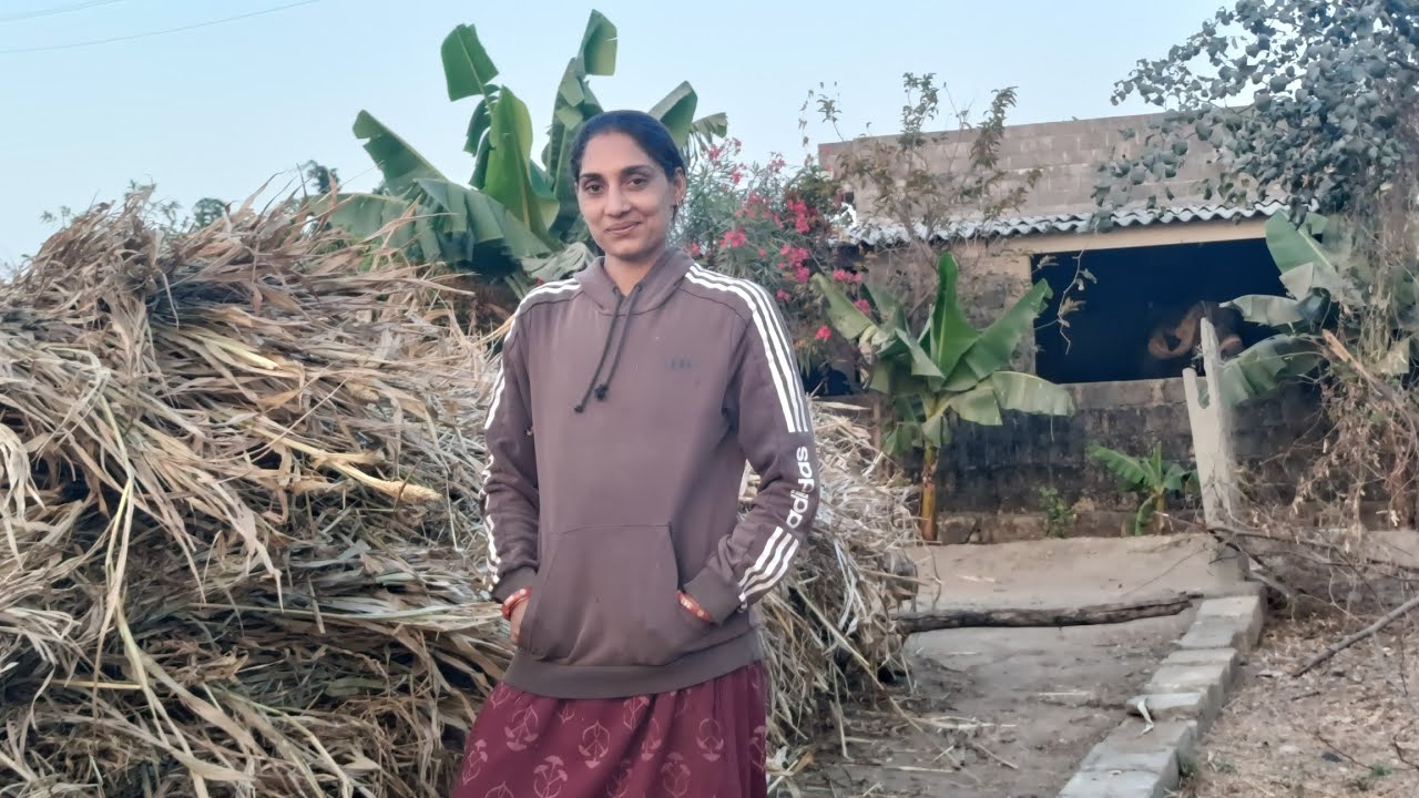 જુવારની સાર ની કાલર બનાવવાનું કામ ચાલુ.