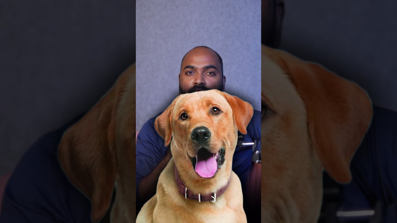 Dog Bite First Aid & Rabies Vaccine Schedule | What To Do After Dog Bite 🐶💉