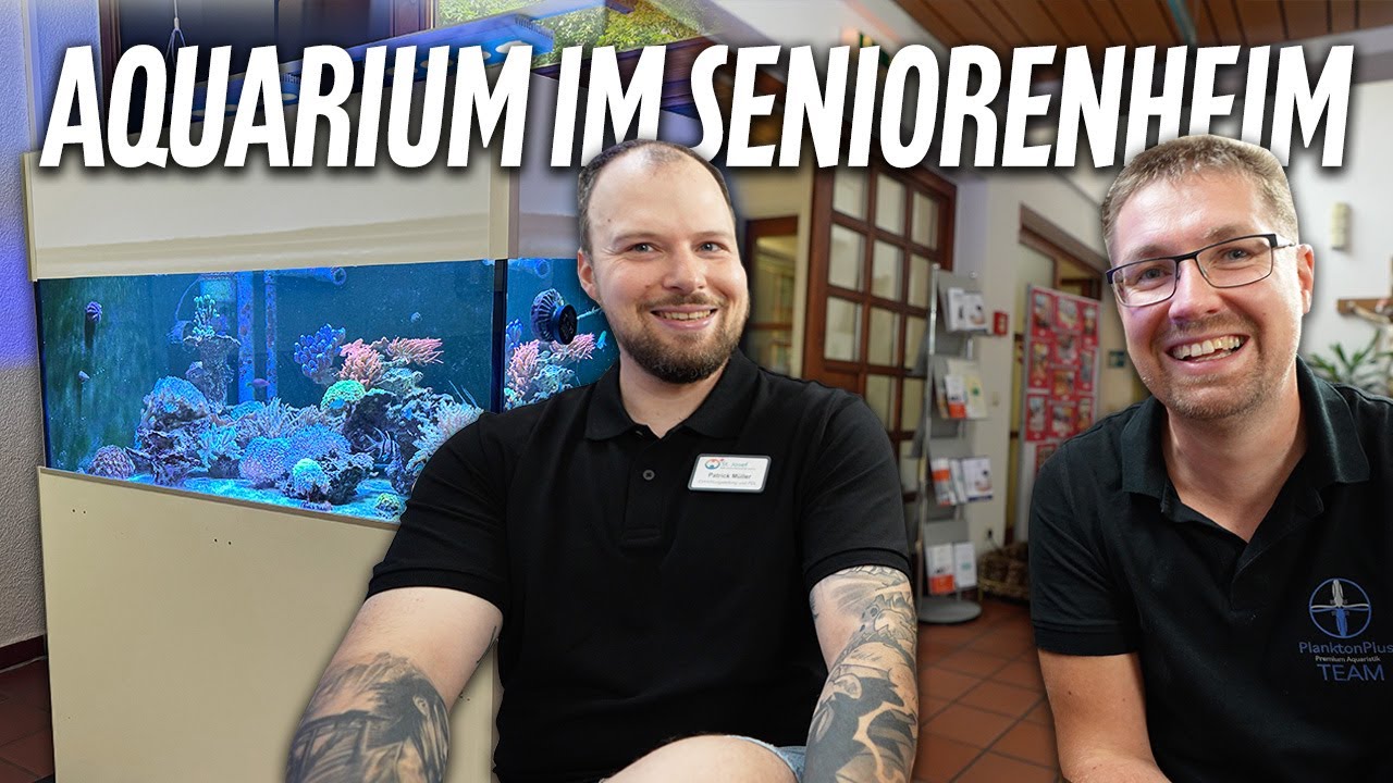 Auswirkungen eines RIFFAQUARIUMS in einem Altersheim?! - PlanktonPlus Aquaristik