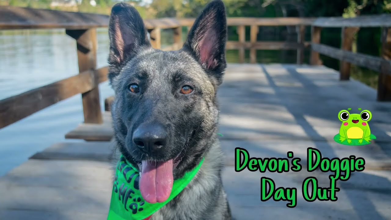 Devon’s Dog Day Out! 