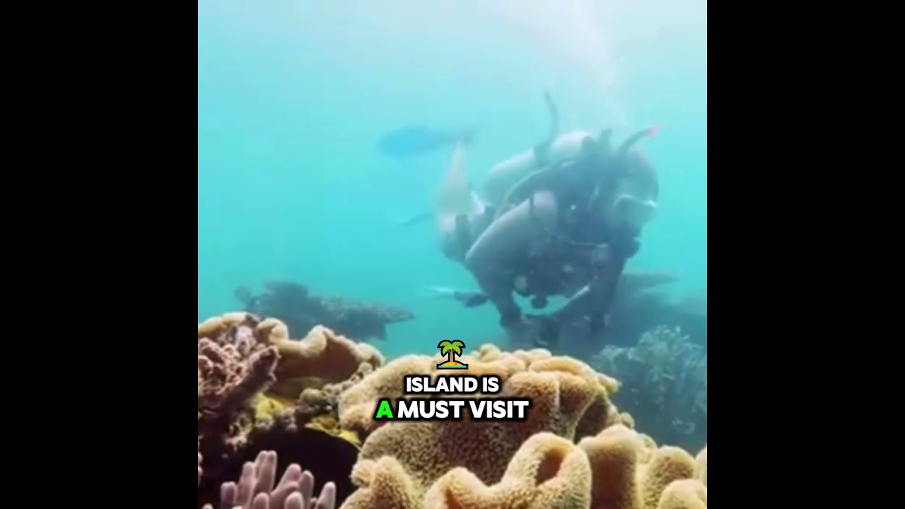 Batangas Beach Paradise: 10 Stunning Beach Destinations Near Manila 🏖️