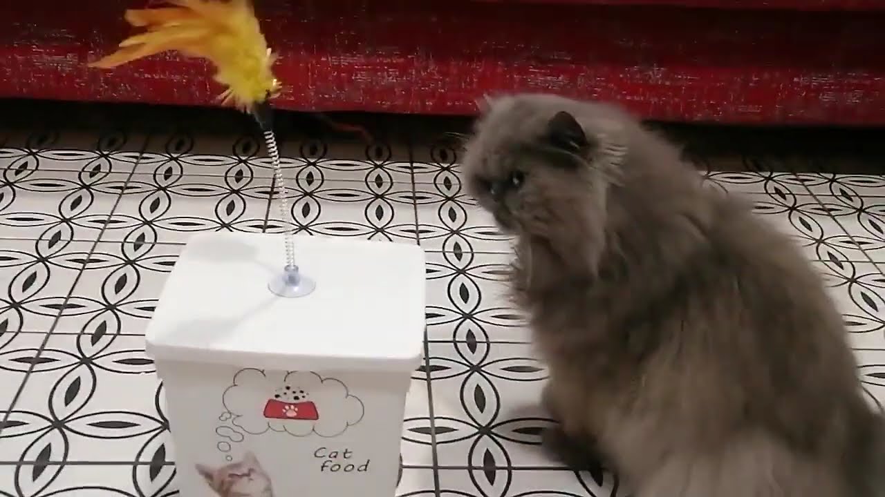 This toy lacks the smell of meat.