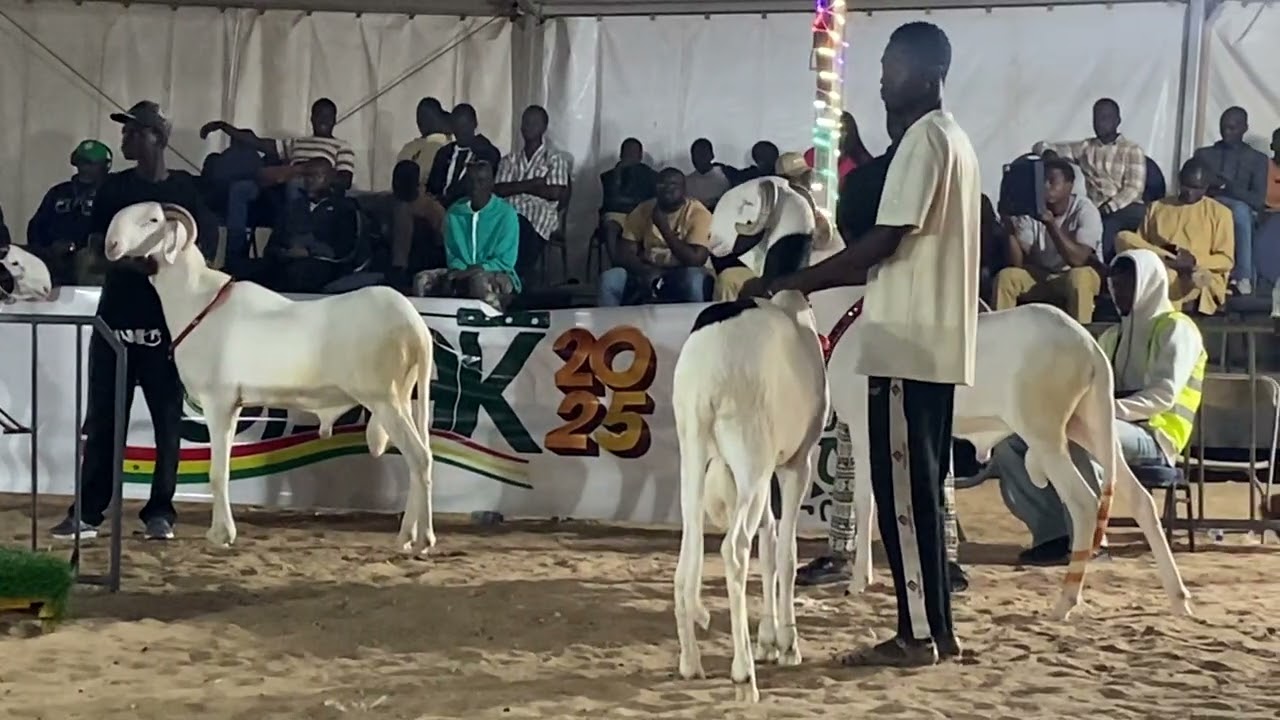 Foire FODAK 3 em édition 