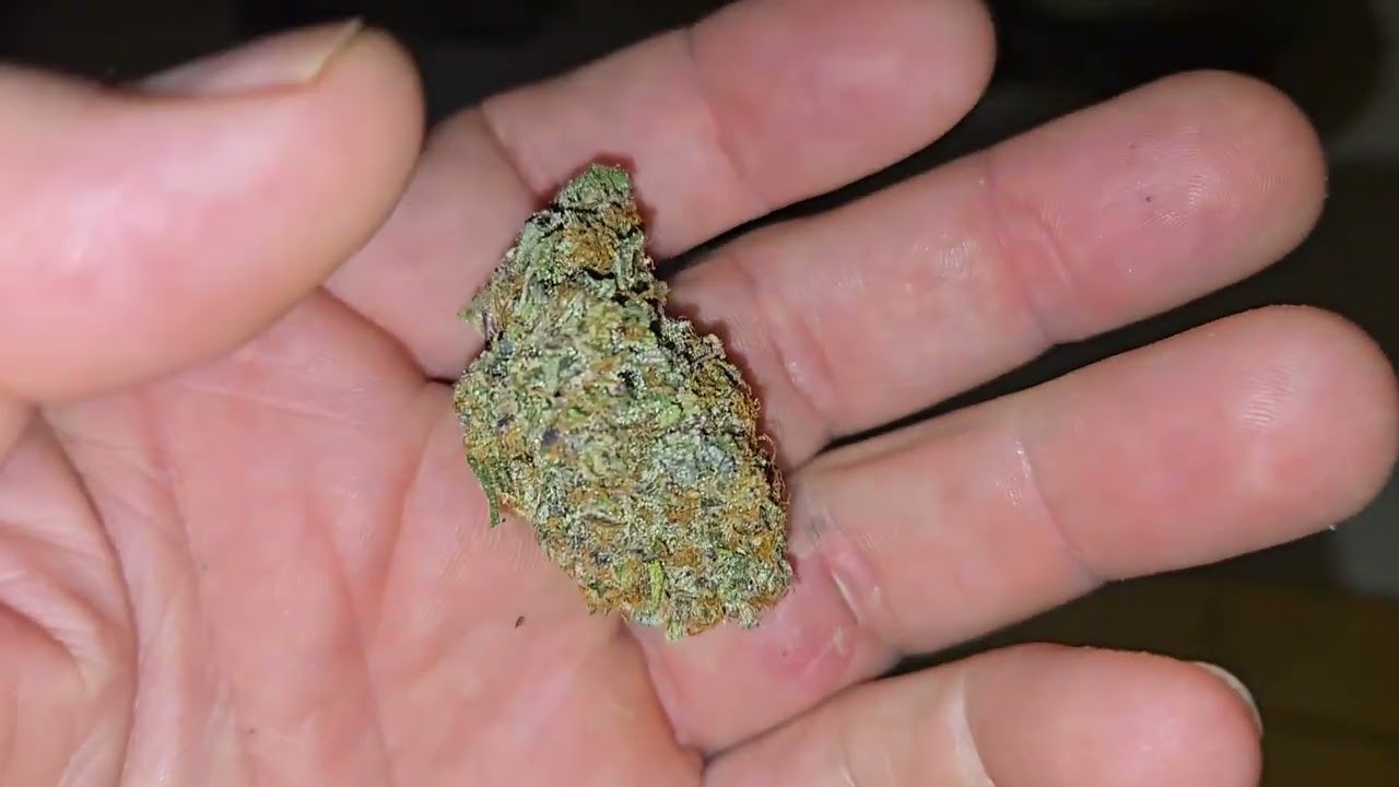 Spider Farmer/ Barney's Farm Run #5... Wrap Up and Strain Review.