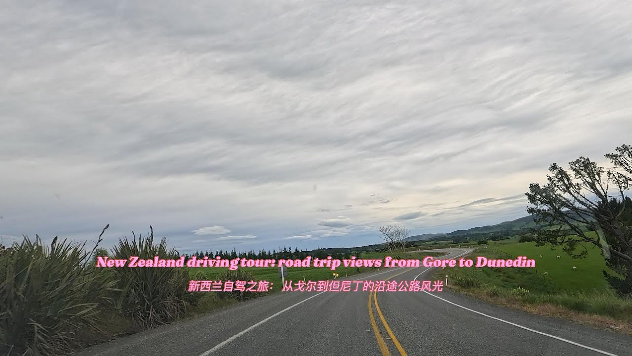 #dailylife #travel # driving tour # New Zealand # Gore to Dunedin