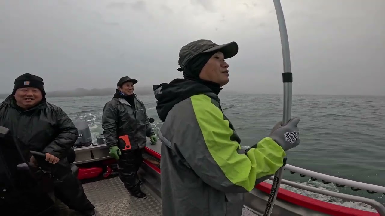 Ловля крабов Dungeness в заливе Бодега с друзьями, 2025 год #stabicraftboat#