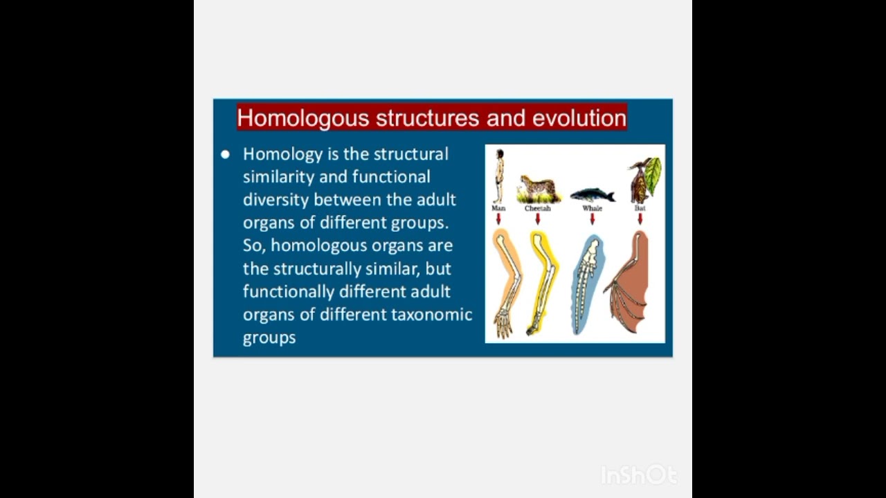 Evidence of organic evolution