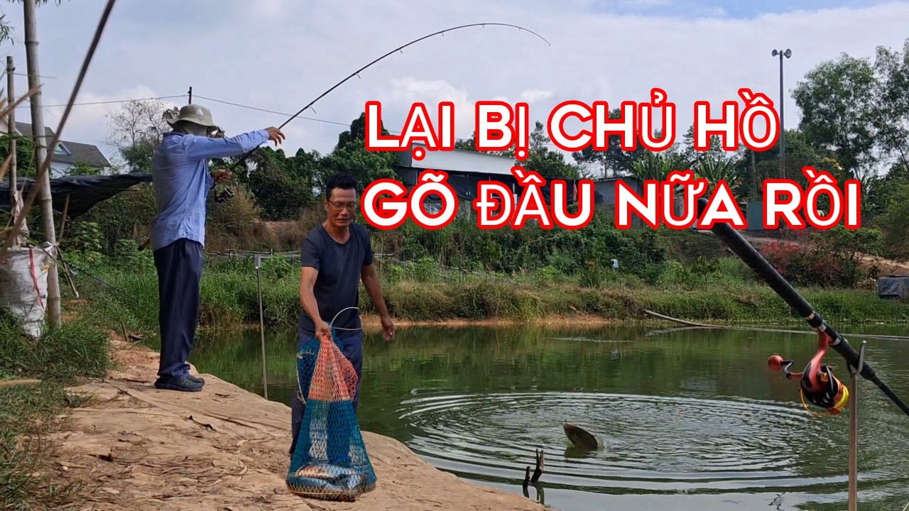 Câu cá giải trí hồ dịch vụ - bị chủ hồ gõ đầu quá thê thảm - thêm một ngày không thành công
