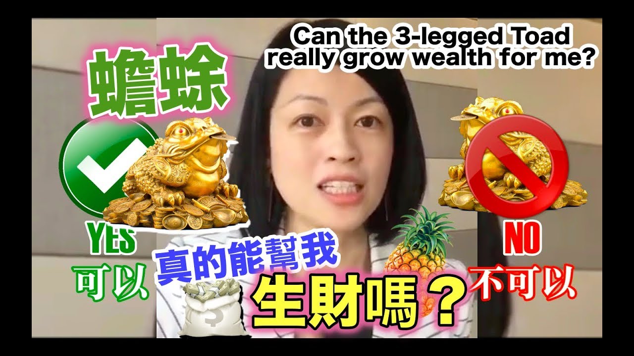 金蟾蜍能讓我發財嗎？ Can the 3-legged Toad make me richer?