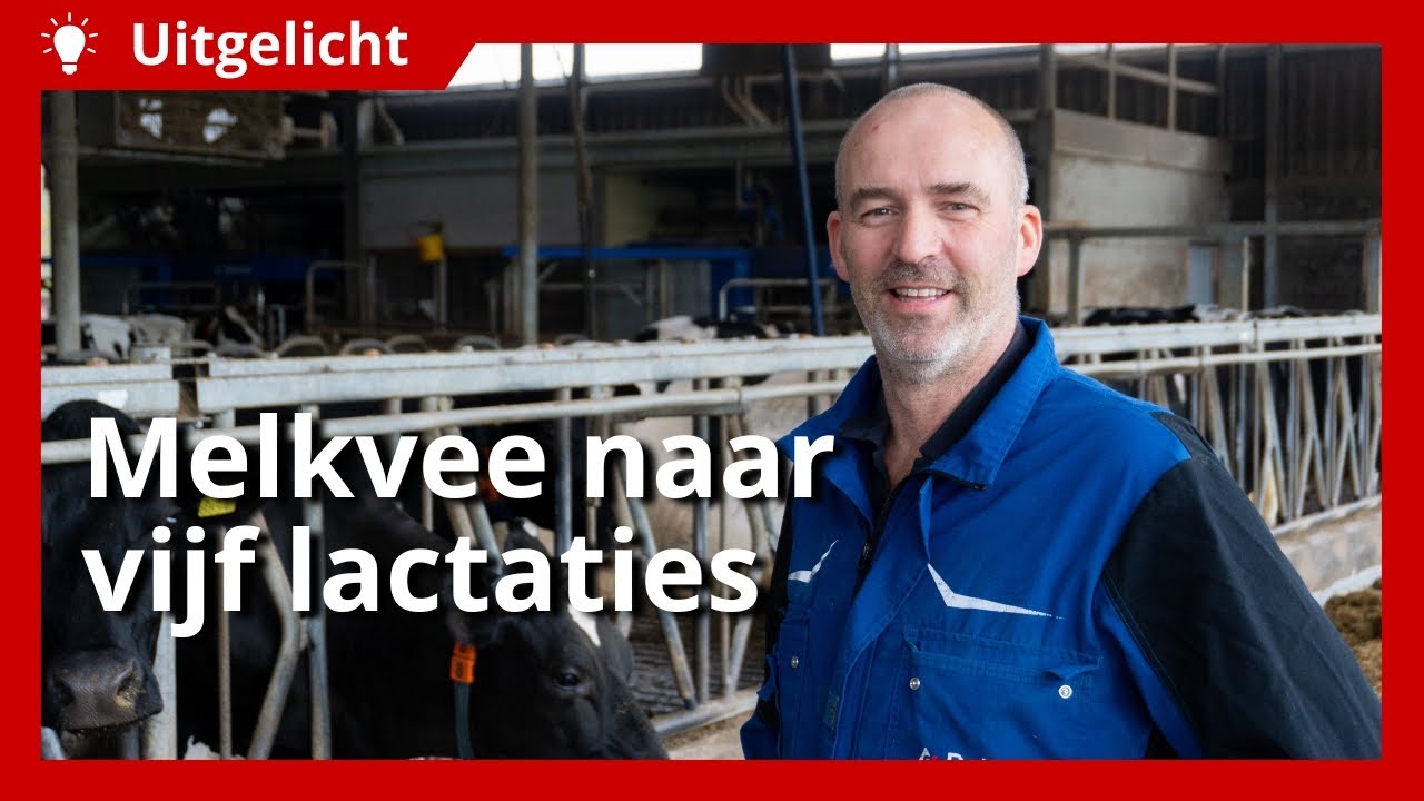 Uitgelicht | Levensduur van melkvee verlengen