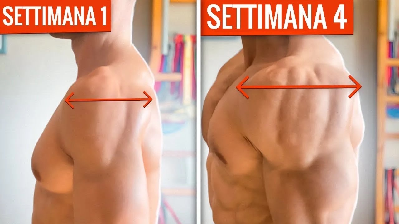 DELTOIDE LATERALE a PALLA di CANNONE in 7 MINUTI 👉🏻NON è un UNICO MUSCOLO e quindi devi fare QUESTO