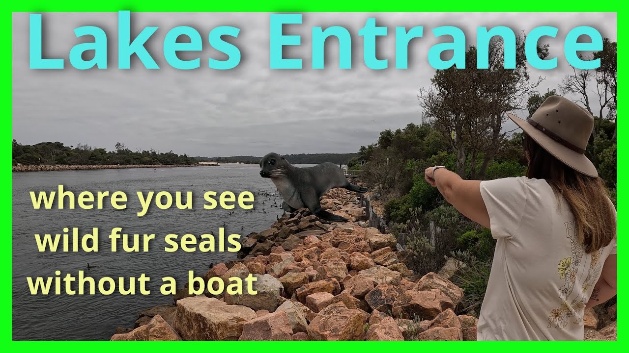 Full time traveling Australia-15 Gippsland, Lakes Entrance and Mallacoota