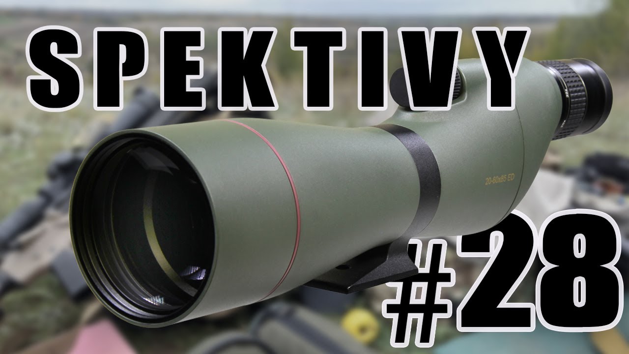 #28 - FOMEI - Spektivy