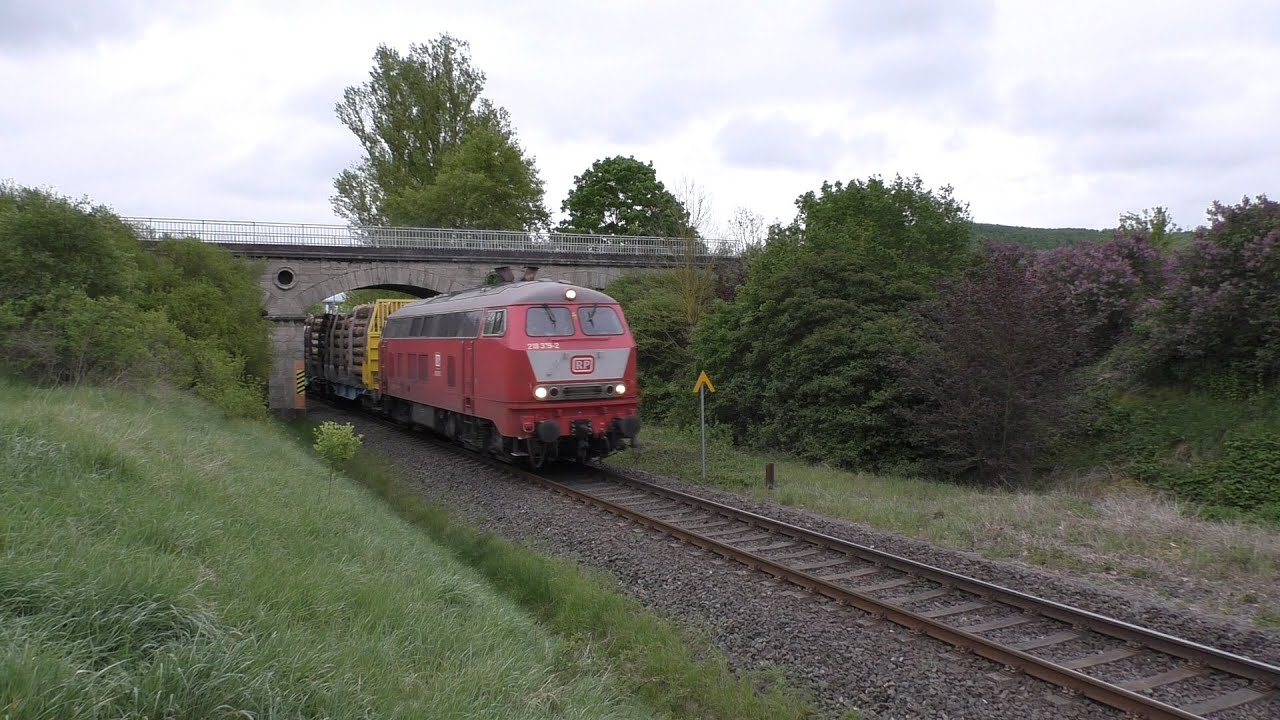 218 319-2 mit Holzzug