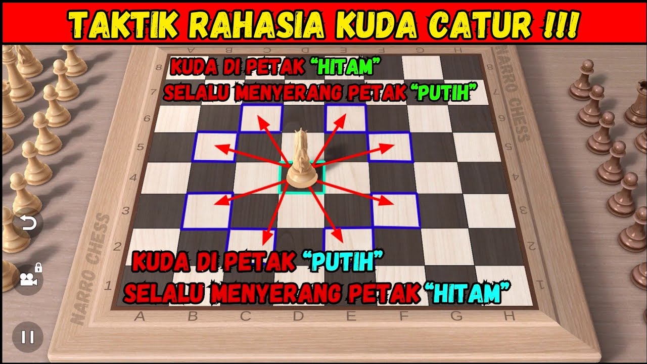 BELAJAR RUMUS KUDA CATUR !!! #narrochess
