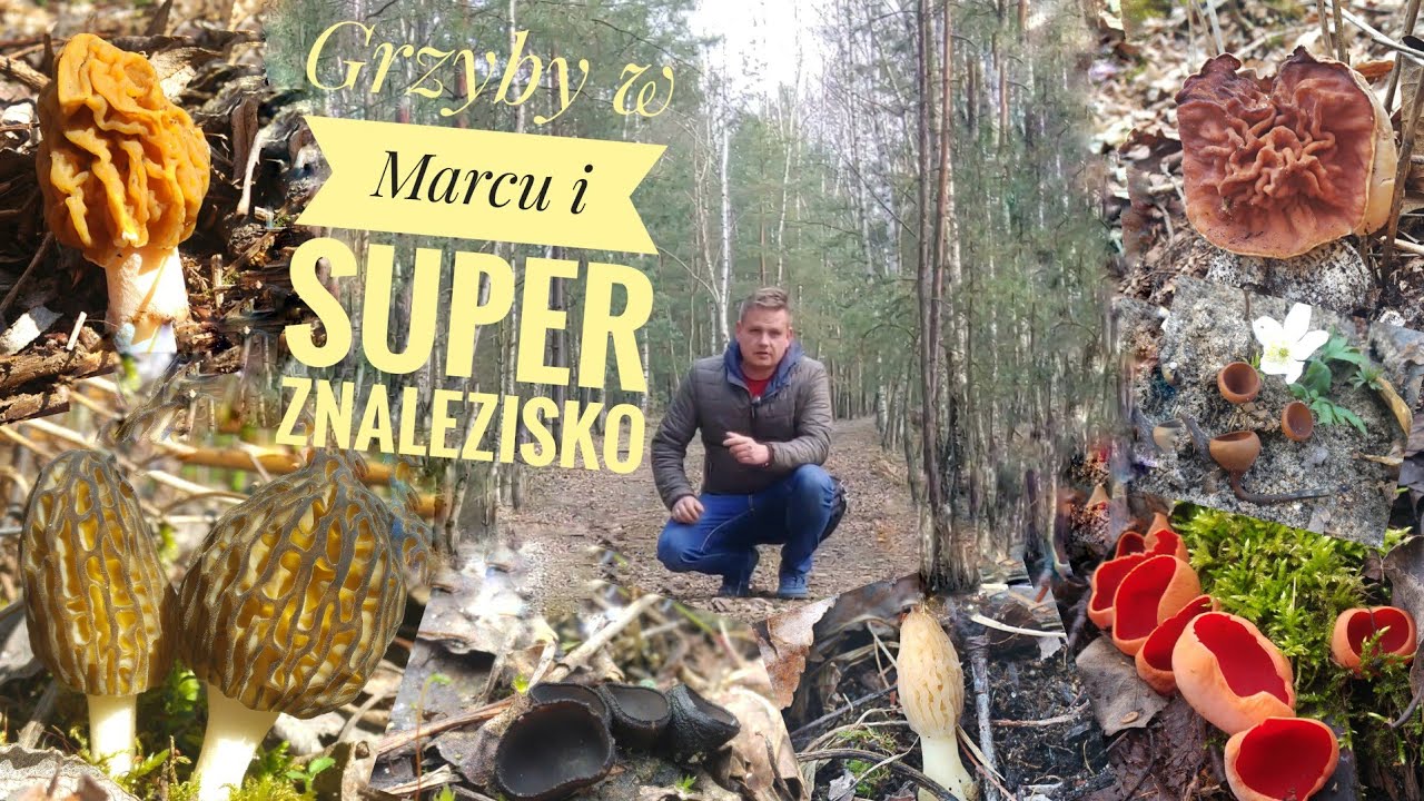 Grzyby w Marcu i super znalezisko!!!