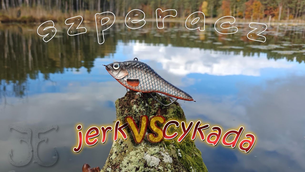 SZPERACZ odlew z żywicy