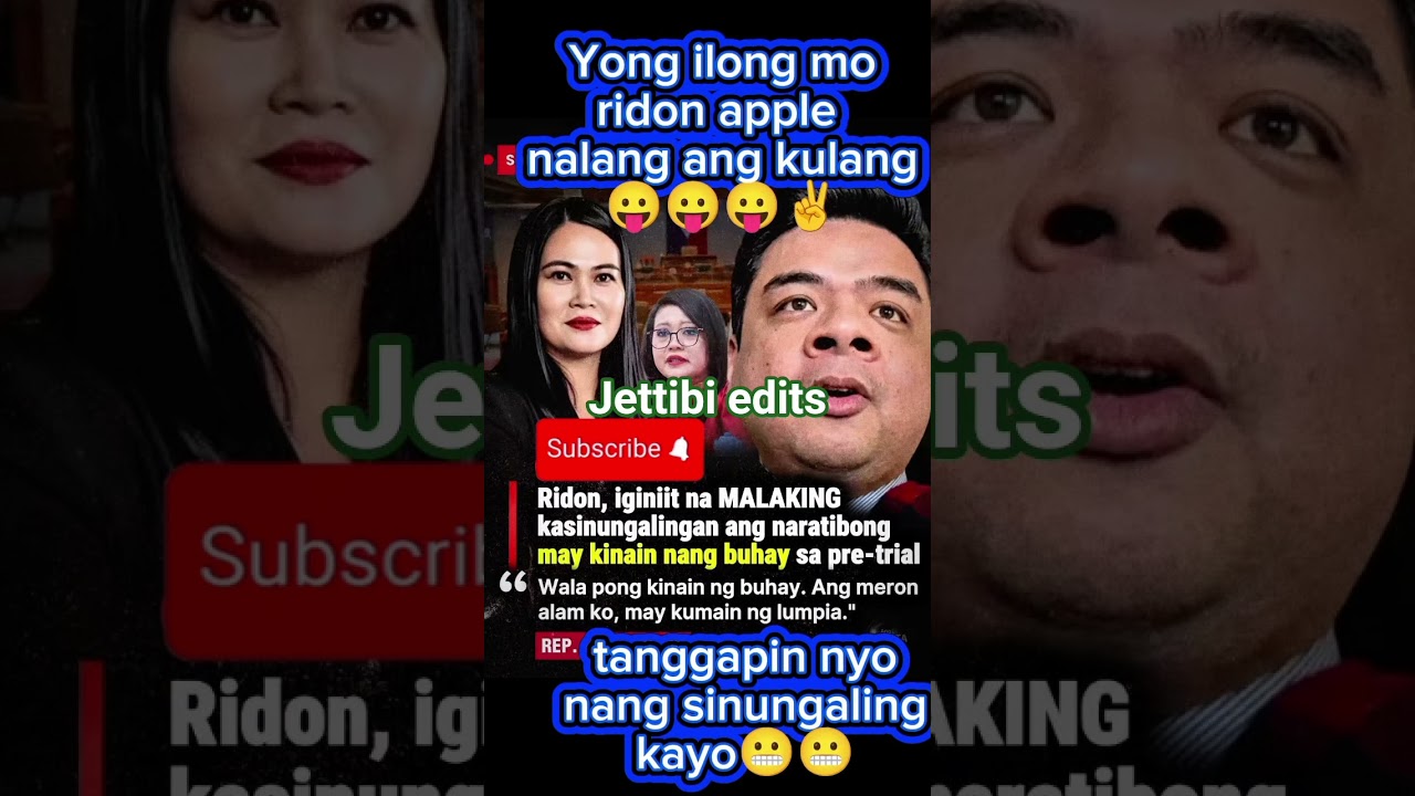 terry ridon vs impeachment #impeachment #floodcontrolprojects #terryridon#trendingshorts #fypシ゚viral