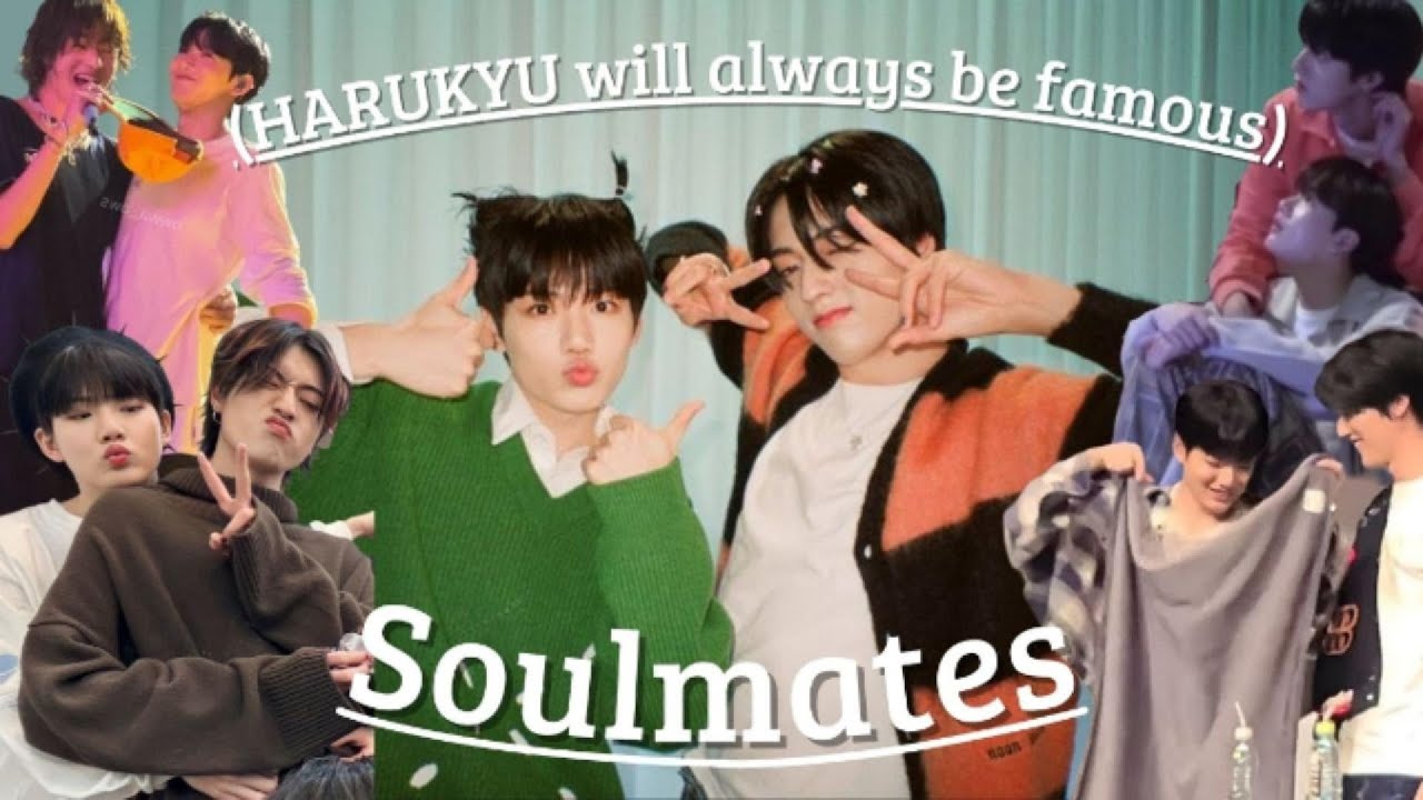 Harukyu Tiktoks cause ✧