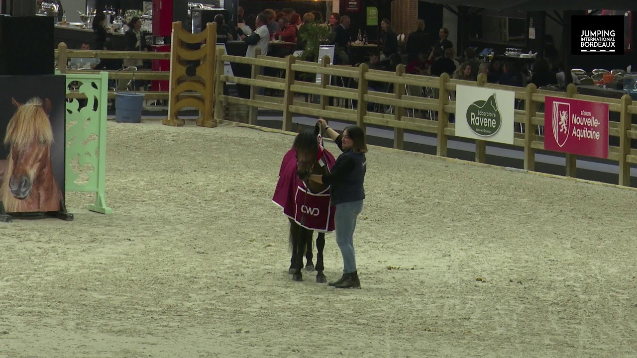 Vendredi 06 février au Jumping International de Bordeaux - Piste Baloubet