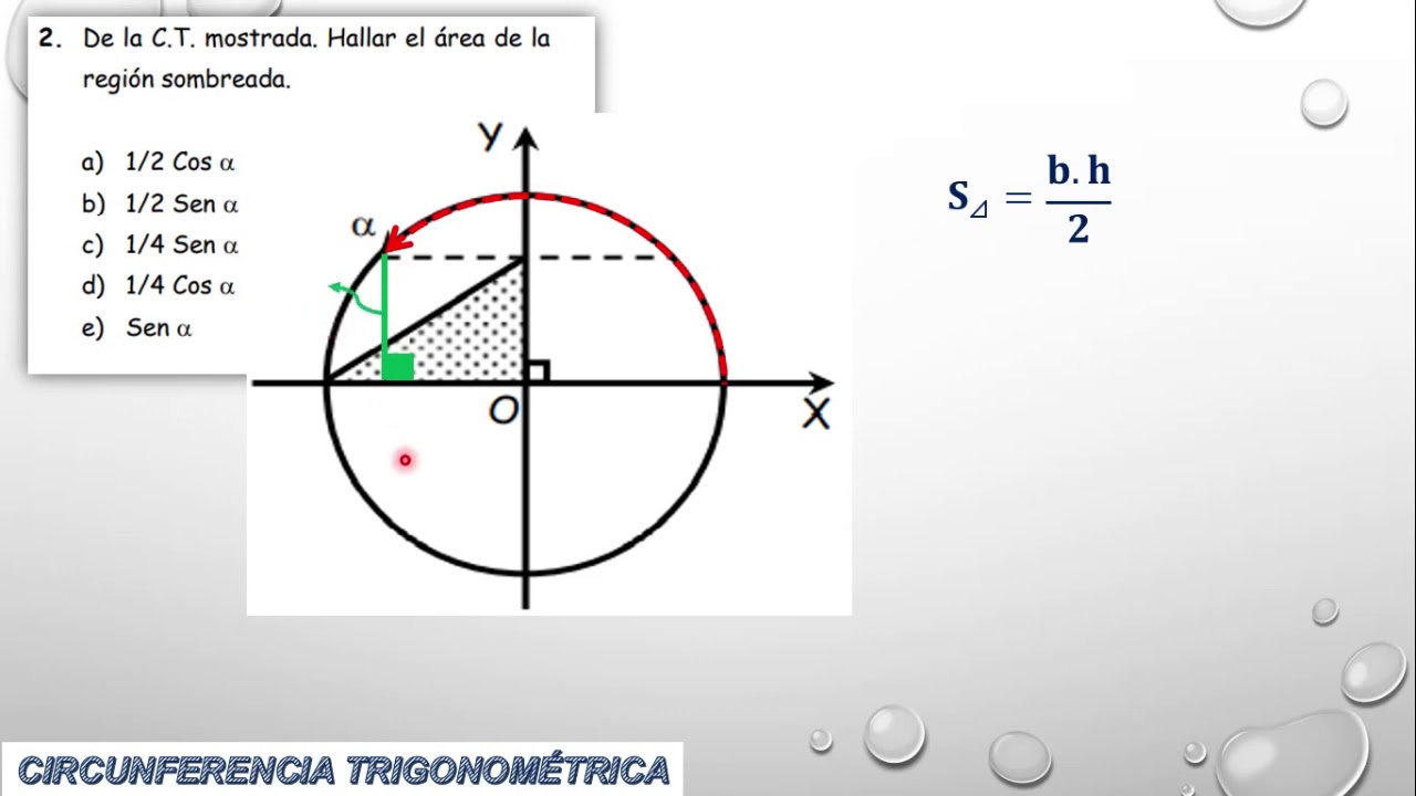 Circunferencia trigonométrica parte 1