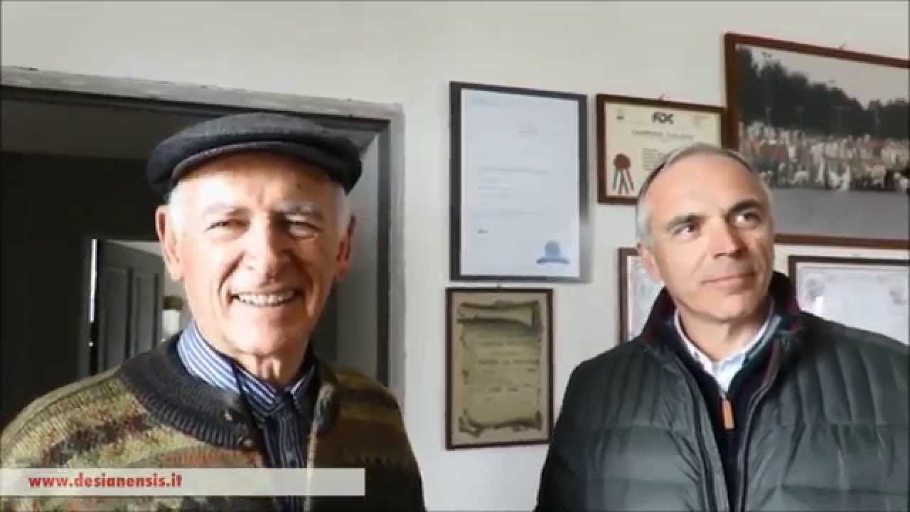 Desianensis setter inglesi - Lidio Riva si racconta