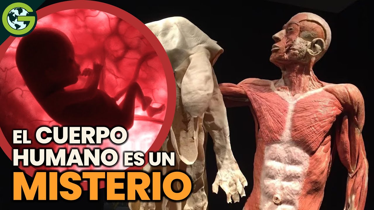 ¿Y SI el ANIMAL Más EXTRAÑO Fueran los HUMANOS? 🍆
