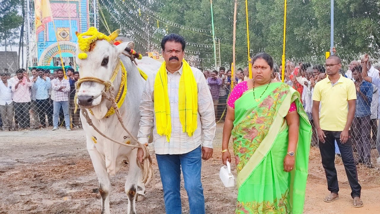 కల్లూరు సీనియర్స్ విభాగంలో 1వ జత RK బుల్స్ (లయన్ జయసింహ)