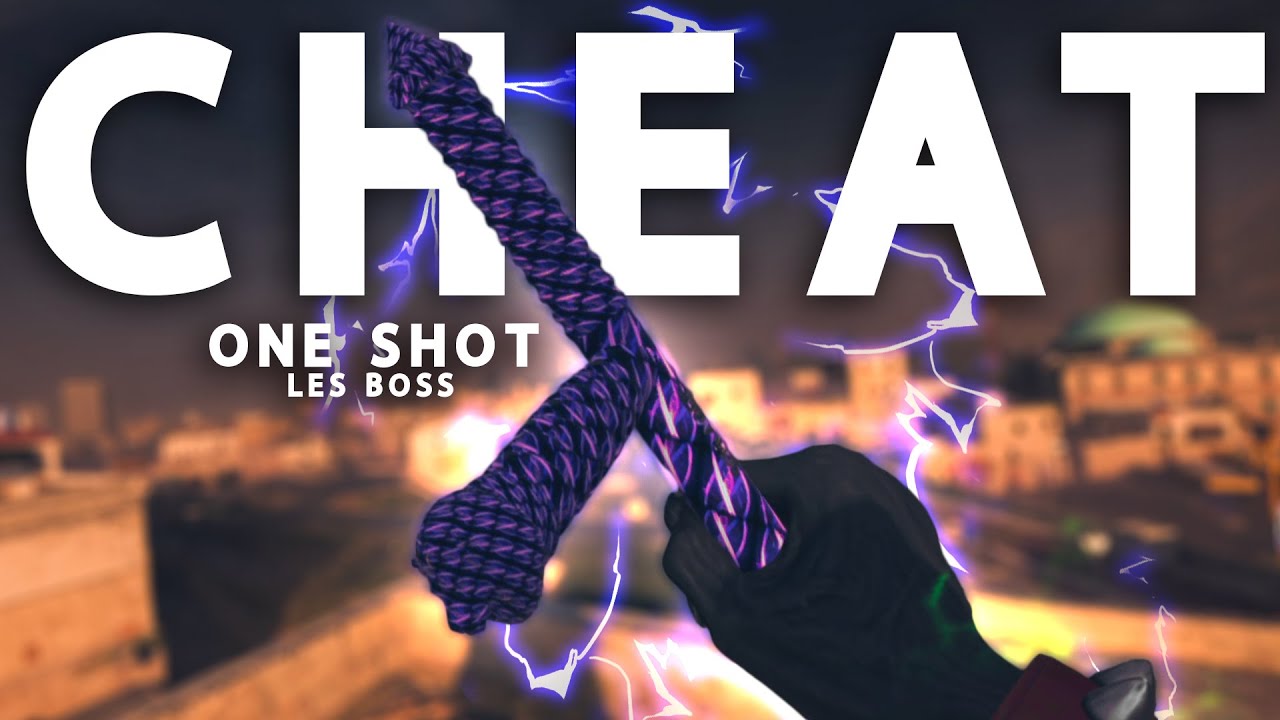 LA CLASSE LA PLUS CHEATÉ DE MWZ (on one shot les boss)
