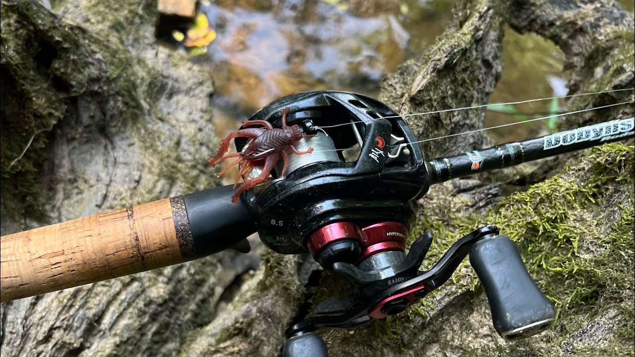 Fishing & REVIEWING the Dobyns Sierra ULTRA FINESSE Rod
