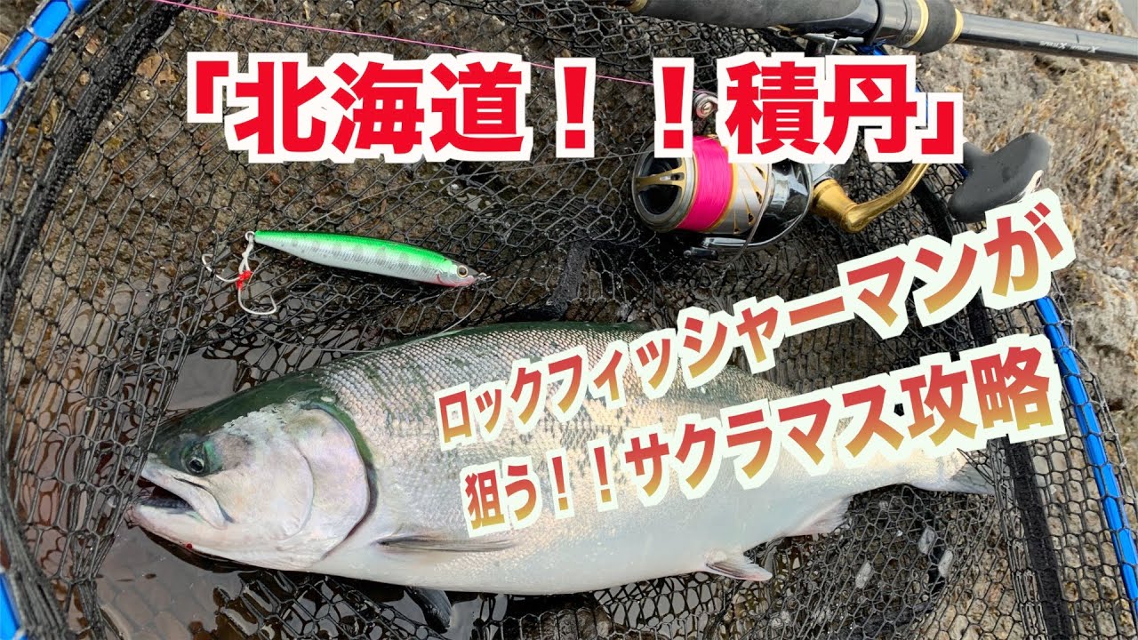 『北海道！！積丹』ロックフィッシャーマンが狙うサクラマス攻略！！