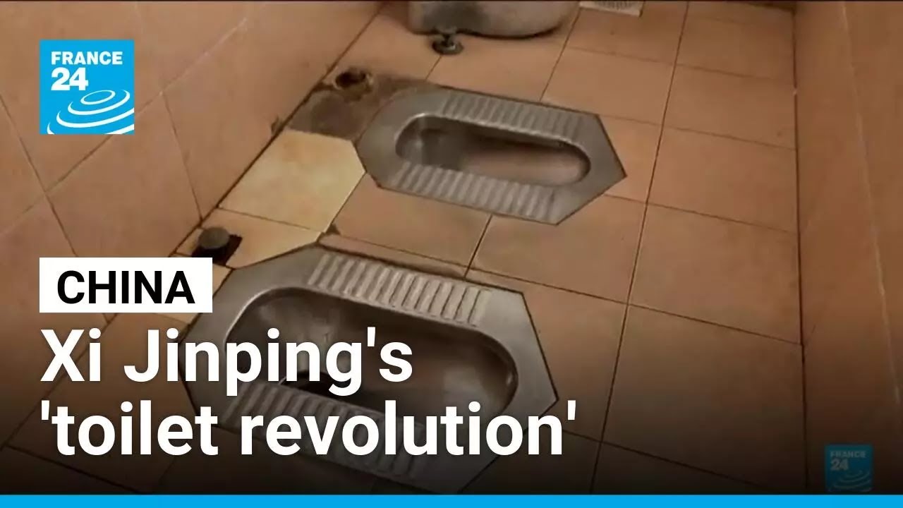 China's toilet revolution: World toilet day aims to promote clean sanitation for all &bull; FRANCE 24
