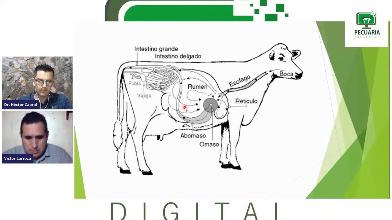 Aprende Nutrición Animal Curso Gratuito de Nutrición Animal