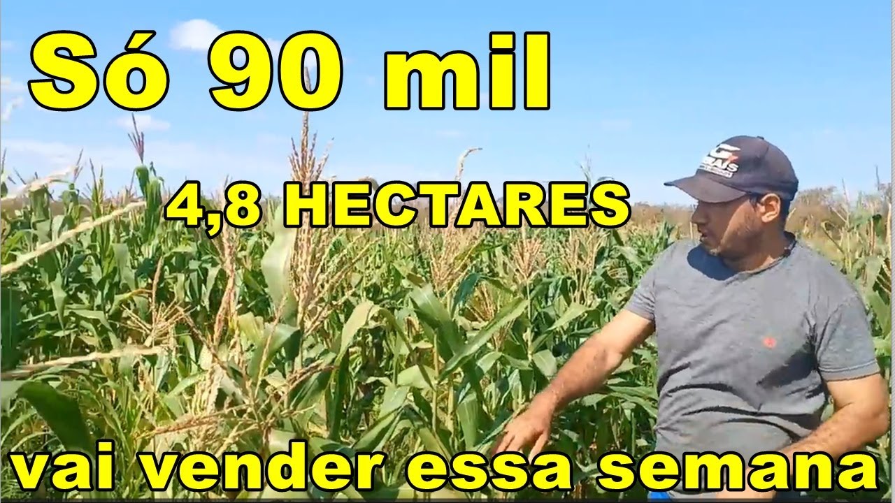 ( Arrendado )SÓ 90 MIL SÍTIO A VENDA NO PROJETO JAÍBA VAI VENDER ESSA SEMANA