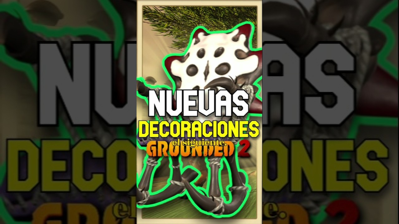 NUEVAS DECORACIONES 