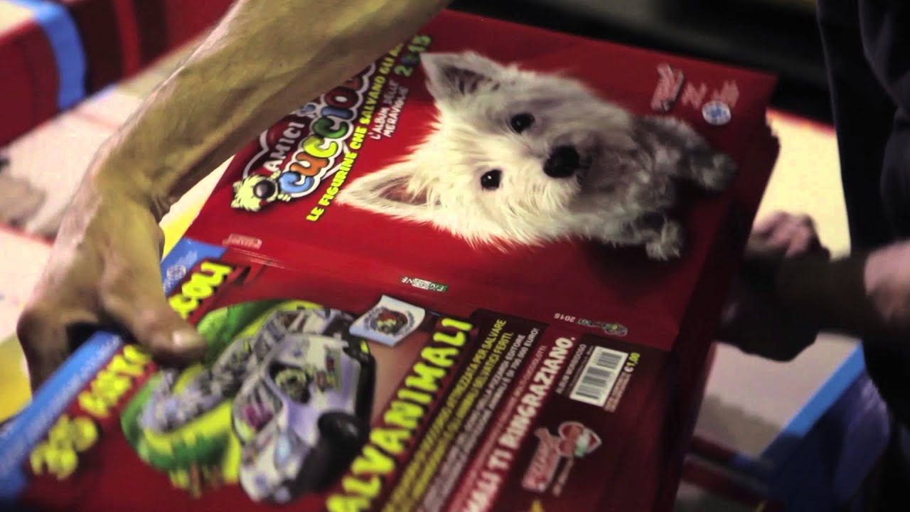 COME NASCONO LE FIGURINE AMICI CUCCIOLOTTI