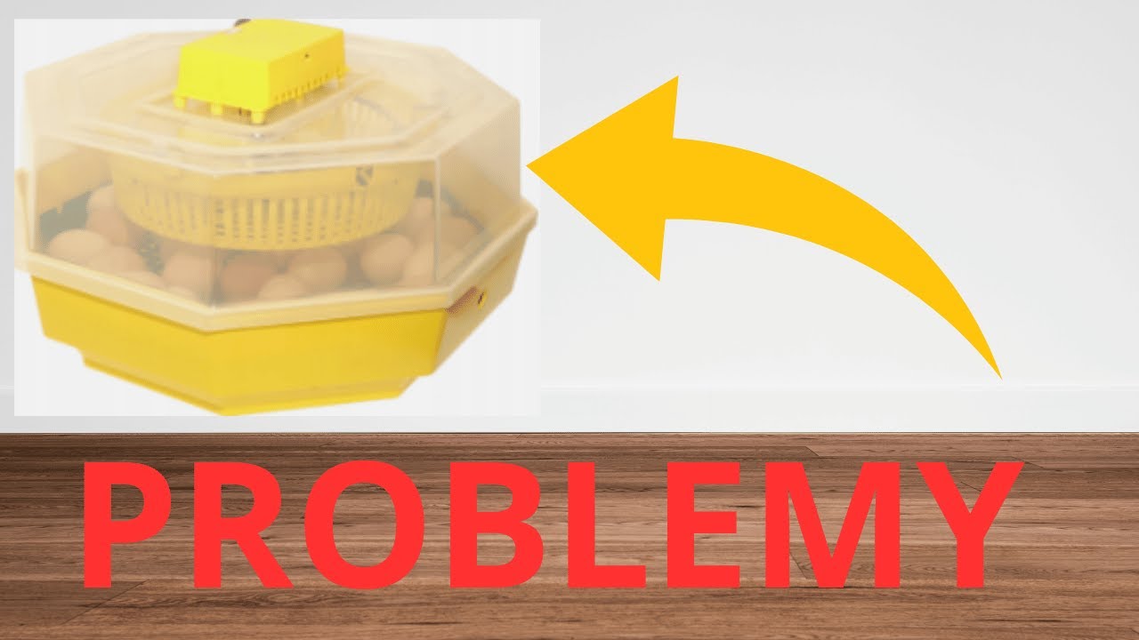NOWY INKUBATOR | JUŻ SĄ PROBLEMY