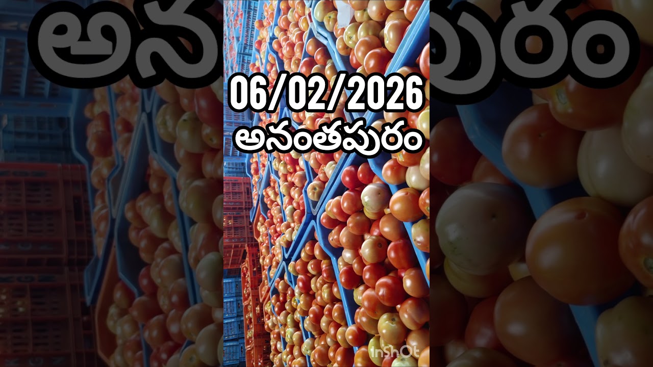 అనంతపురం టమోటా మార్కెట్ టాప్ ధరలు 