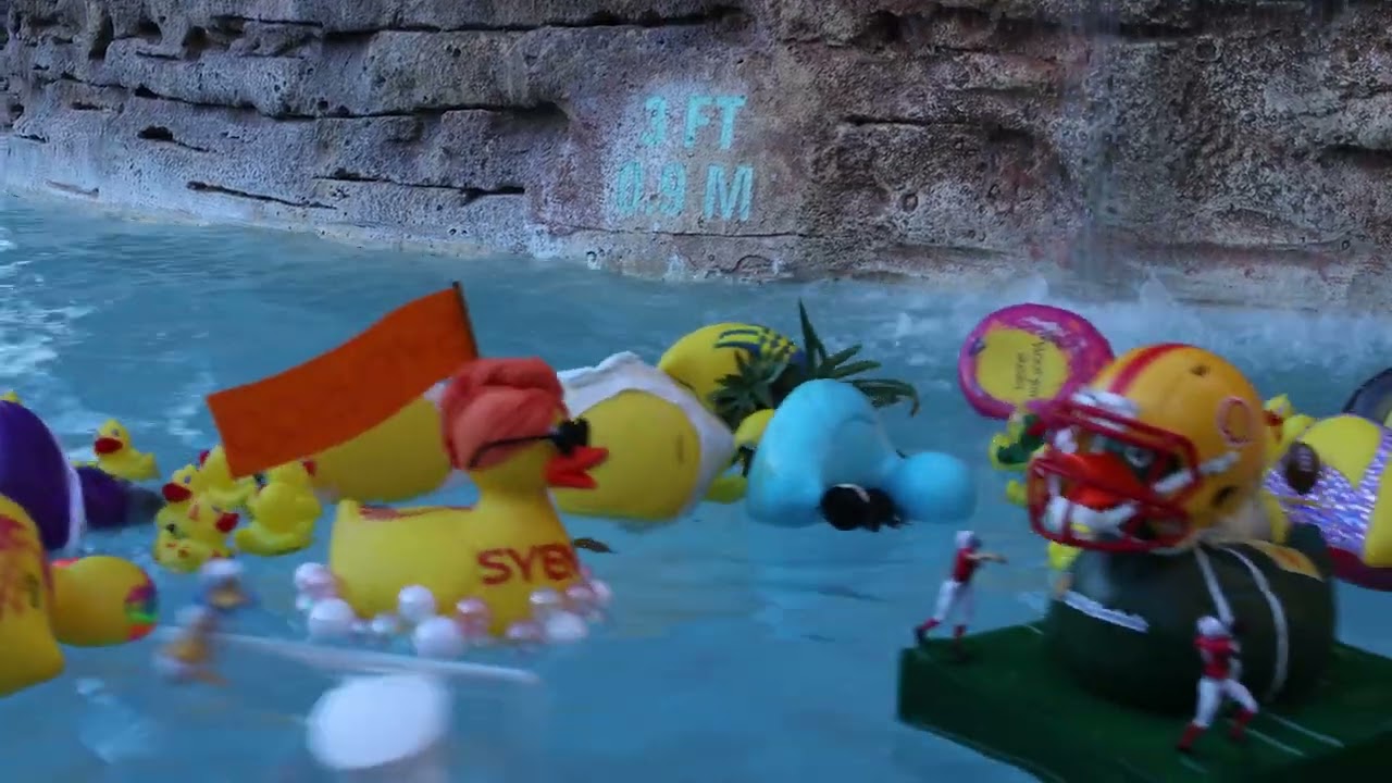 2024 ACI Charity Duck Race